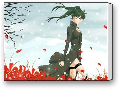 Funnyone Custom Modern Wall Art Decoration for Home Lenalee Lee D Gray Man Canvas Prints