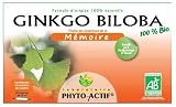 Phyto ActifGingko