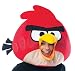 Angry Birds  Red Bird Mask