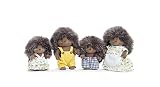 Pickleweeds Hedgehog Family