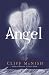 Angel Hardback