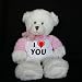 Plush White Teddy Bear (Dena) toy with I Love You