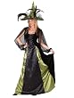 Classic Witch Goth Maiden Plus Size Theatre Costumes