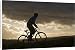 Canvas Prints of Gilar Farm, Snowdonia, North Wales. Man mountain biking . (MR) from AWL Discover Images