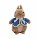 Peter Rabbit Beanbag Rattle P015035 Rainbow Designs