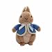 Peter Rabbit Beanbag Rattle