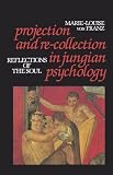 Projection and Re-Collection in Jungian Psychology: Reflections of the Soul (Reality of the Psyche Series)