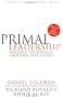 Primal Leadership: Realizing the Power of Emotional Intelligence