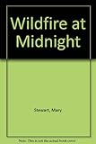 Wildfire at midnight