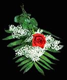 Fundraiser Recital Bouquets - Princess Mixed Bouquet