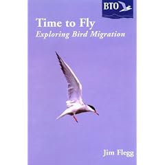 Time to Fly: Exploring Bird Migration