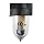 Coilhose Pneumatics 8824D Heavy Duty Series Filter, 1/2-Inch Pipe Size with Automatic Drain
