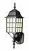 Trans Globe Lighting 4420 RT Outdoor San Gabriel 19.5" Wall Lantern, Rust