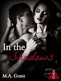 In the Shadows (The Club)