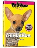 Chihuahua DVD - Everything You Should Know About Your Dog
