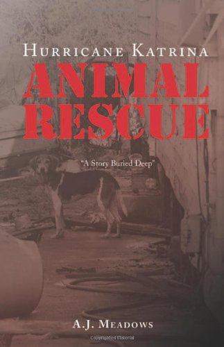 hurricane katrina animal rescue a story buried deep
