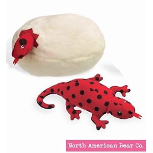 Salamander Eggs