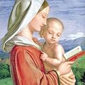 Shelter and St Mungos Religious Charity Christmas Cards - Madonna and Child (Pack of 8)