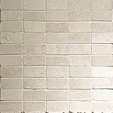 Light 1 X 2 Split Face Travertine Mosaic Tile