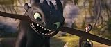 How to Train Your Dragon