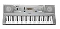 Yamaha YPT-310 61 Full Size Touch Sensitive Keys with 500 Tones and 32-Note Polyphony