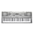 Yamaha YPT-310 61 Full Size Touch Sensitive Keys with 500 Tones and 32-Note Polyphony