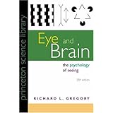 eye and brain