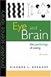Image of Eye and Brain