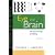 Eye and Brain