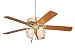 Emerson Fan Company