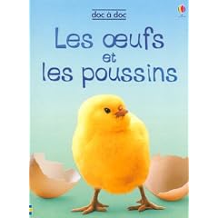 Les oeufs et les poussins