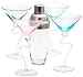 Circle Glassware Ambiance 5-Piece Martini Set