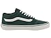 Vans Men's TNT SG Skate Shoe