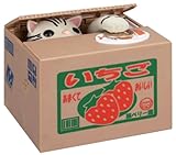 Itazura Coin Bank (American Shorthair)
