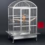 Avian Adventures Grande Dometop Bird Cage in Ruby