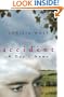 Accident: A Day's News: A Novel (Phoenix Fiction)