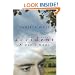 Accident: A Day's News: A Novel (Phoenix Fiction)