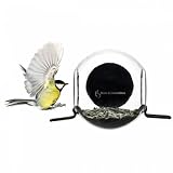 Bird Feeder
