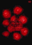 LAST INDIES TOUR 2008 Follow me~05.05 FINAL �ֺ�BLITZ~ [DVD](�߸ˤ��ꡣ)