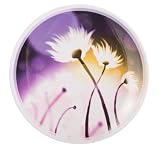 Zak Designs Aura 11-Inch Melamine Dinner Plate