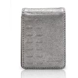 Griffin Elan Convertible Case for iPod Nano 3G - Silver