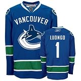 LUONGO #1 Vancouver Canucks RBK Premier NHL Hockey Jersey by Reebok (NHLPA Certified Custom Sewn Authentic Twill)