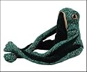 Dora Designs - Fredrick The Frog Paperweight