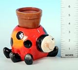 Review SALCO  / Ladybird/Frog Planter 14cm (630693) mtgl 2 per pack