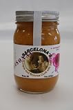 Barcelona's Nogada (Walnut and Sunflower Seed) Sauce 16 Oz. Jar