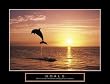 Goals - Dolphins, Motivational Poster