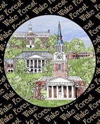 Wake Forest University - Collegiate Sculptured Night Light