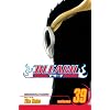 Bleach, Vol. 39