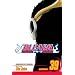 Bleach, Vol. 39