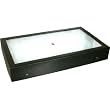 Gem Stone Gemstone Display Box Travel Showcase Storage 14" x 8" x 2"